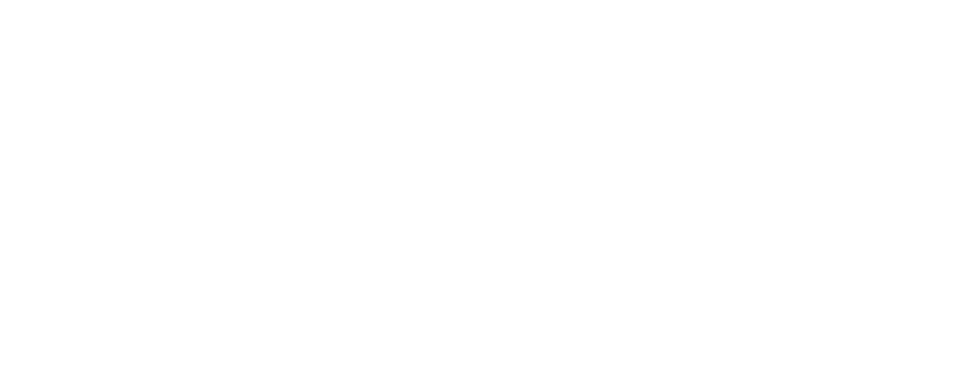 IT Executive Placement